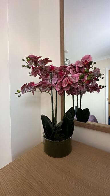 Palaz 7 - 5 Bedroom House Edmonton